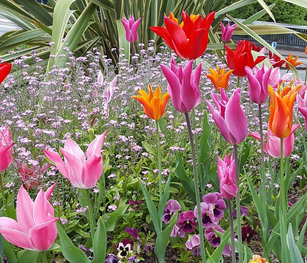 Bö Garden 1